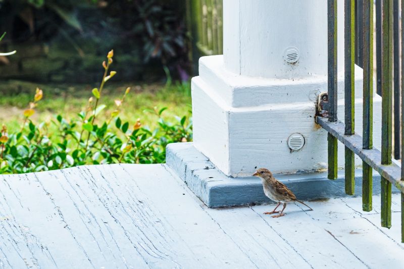 Eco-Friendly Options